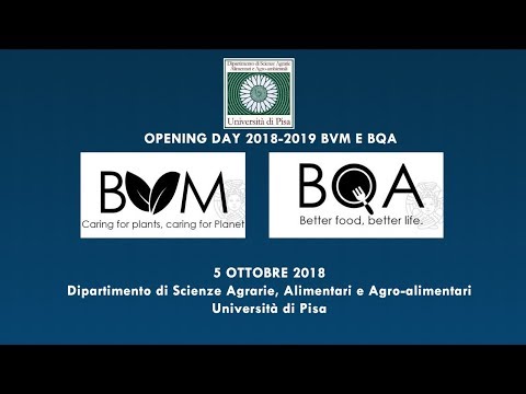 UNIPI: OPEN DAY 2018-2019 BVM E BQA