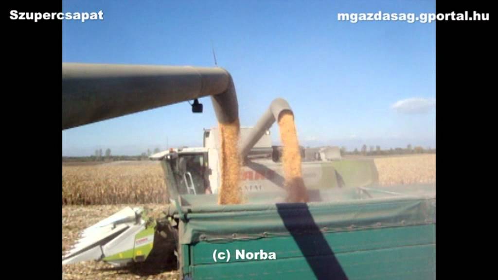 Szupercsapat - Corn Harvest 2011 (4x Claas Lexion, 4x MAN, JD 6420)