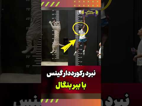 نبرد قهرمان جهان با ببر بنگال مسابقه جذاب مستر بیست