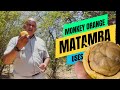 Matamba Explained Nutritional Benefits Cultural Value Why It Matters Today 