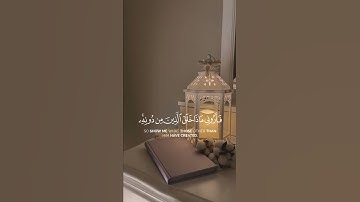 سورة لقمان {الآية 11} بصوت الشيخ ياسر الدوسري ❤️💖