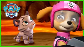 汪汪队终极救援：拯救老虎！- PAW Patrol 汪汪队立大功 - 儿童卡通