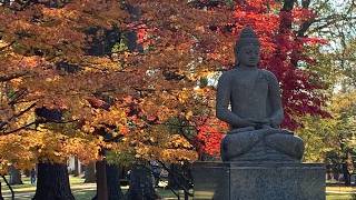 Monk Chat with Empty Cloud Monastics