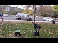 Sadie Doing Directionals Dog Training San Jose,Ca. 408-455-1503 Sadie Doing Directionals Dog Training San Jose,Ca. 408-455-1503