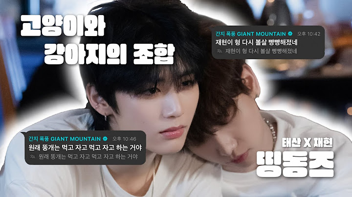 [띵동즈.zip] 띵-동! 띵동즈 왔어요🐈‍⬛🐶 | 태산 X 재현 케미 모음