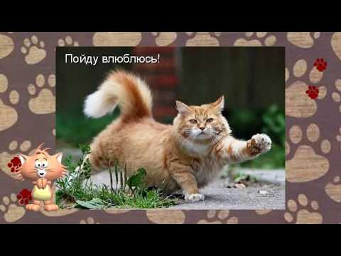 Скучно-влюбись!D))