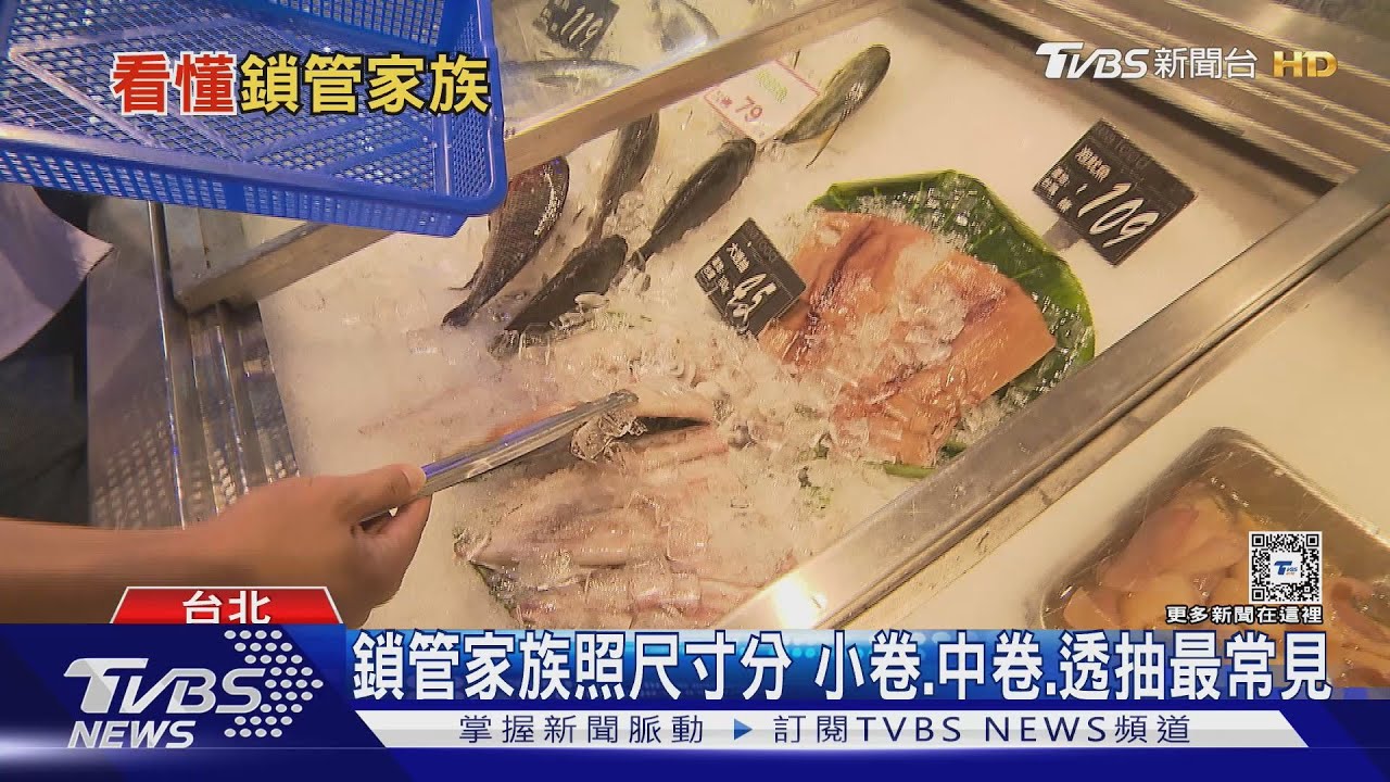 鎖管海鮮分得清嗎? 小卷.中卷.透抽多樣化 富含優質蛋白質｜十點不一樣20241009@TVBSNEWS02 - YouTube