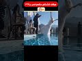 مواقف لأشخاص حظهم نحس ج367