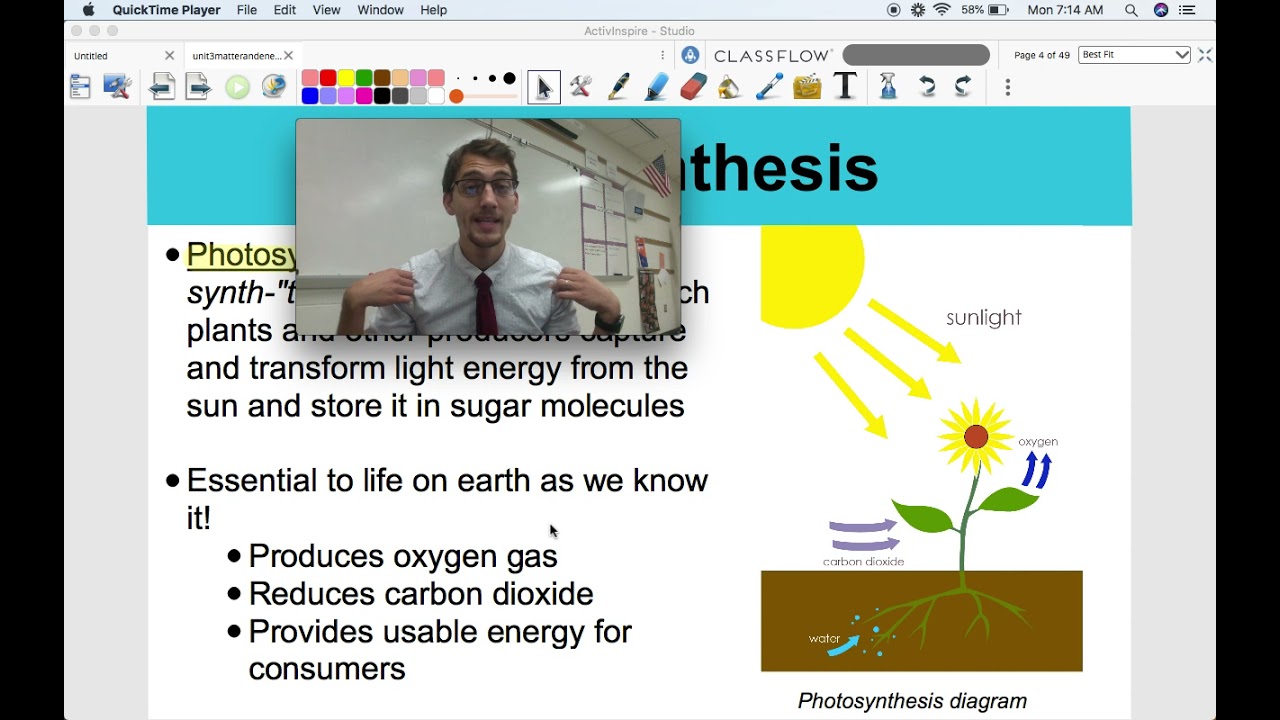Photosynthesis - Life Science/Biology (HS-LS1-5) - YouTube