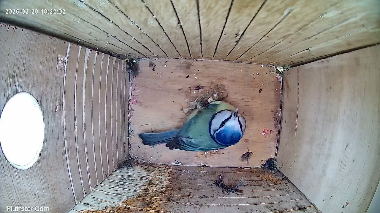 What's that up there? 20Feb2026