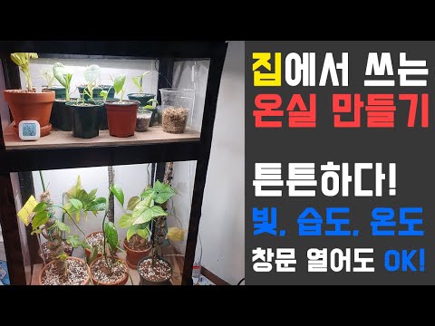 가정에서 쓰는 식물 온실 만들기🌱 겨울 완벽 대비🌿