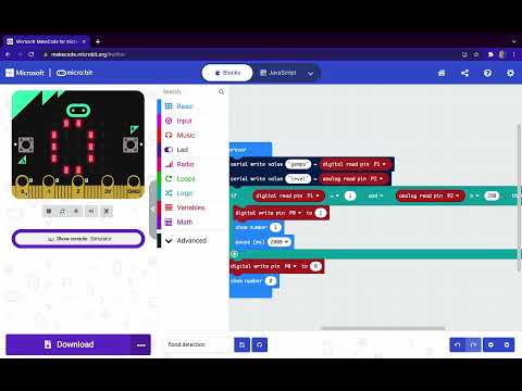 Flood detection - micro:bit
