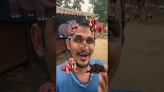 #comedy #animals #skintest #funny #effectking