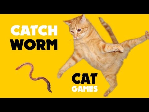 Games-for-cat-★-Catching-WORM-on-screen