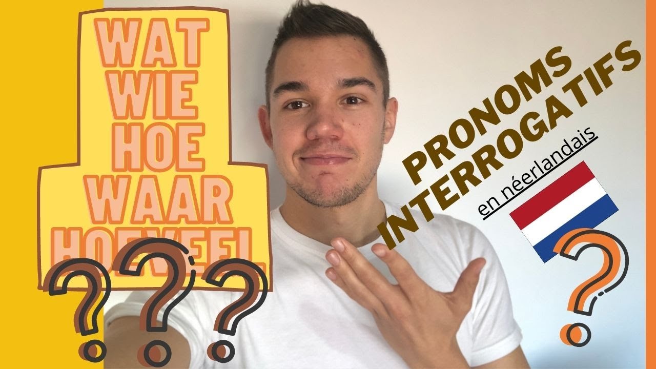 Pronoms interrogatifs en néerlandais : hoe, wie, wat, waar, waarom - cours de néerlandais gratuit 🇳🇱