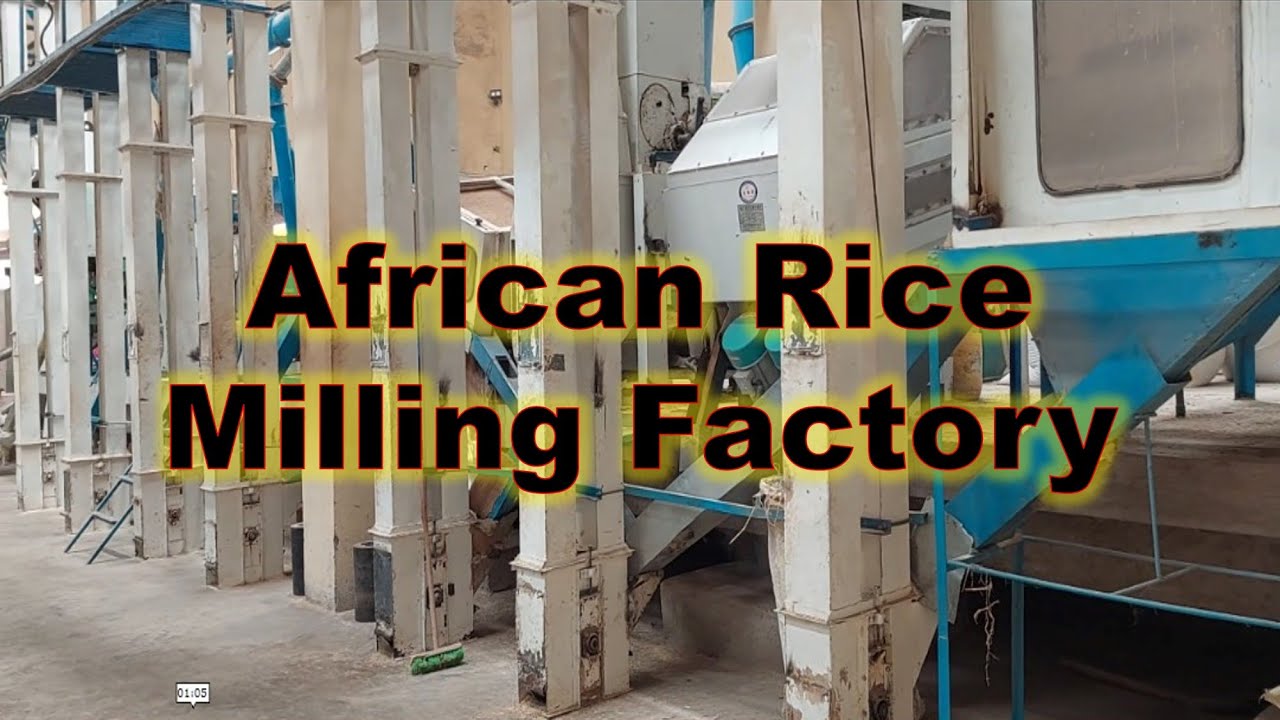 How Rice Is Harvested & Processed In a Milling Factory: Mwea, Kirinyaga in Kenya