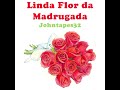 Linda Flor da Madrugada
