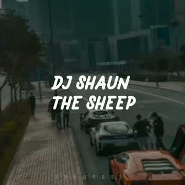 Story WA Dj Shaun The Sheep