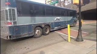 Greyhound Albany Bound!