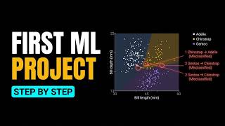 Information A Beginner Machine Learning Project With an Honest Test Set explained visually Guide