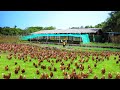 What it's like to live on a farm? MUD PONDS the best way to grow fish faster & Farm animals TOUR!