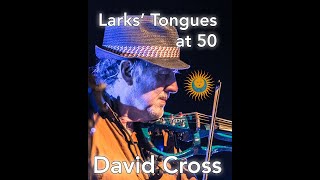 David Cross plays Larks' Tongues clips screenshot 5