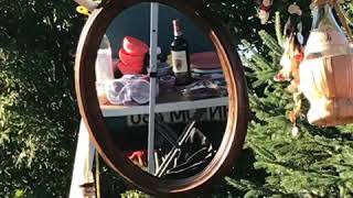 Gypsy Jazz Odyssey, Continued