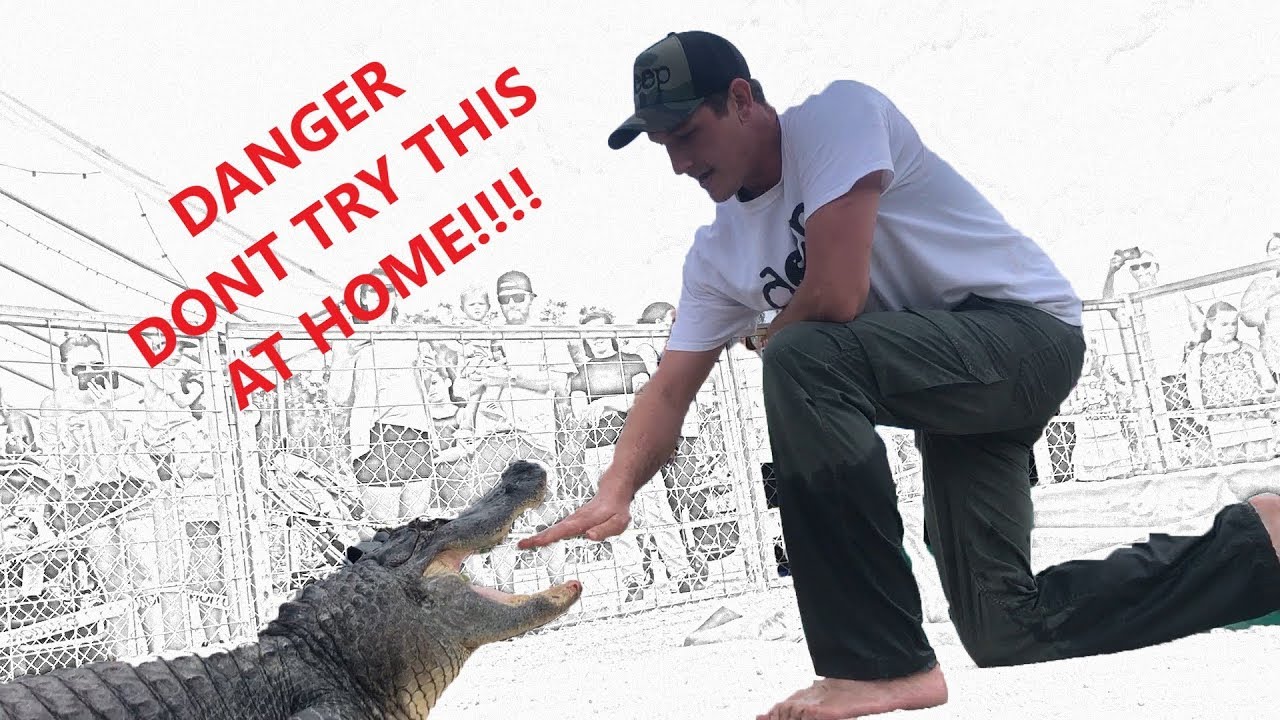 DANGEROUS ALLIGATOR SHOW!!!
