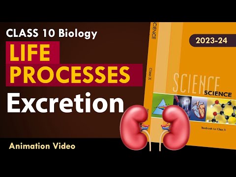 Life processes Animated video | 10th BIOLOGY | ncert #science | Chapter 7 #humanexcretorysystem