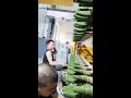 food and life