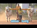 Rk bulls vari narasimha  simhadri bulls beta