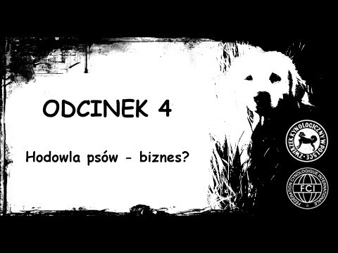 Wideo: Czy psy są zawsze głodne?