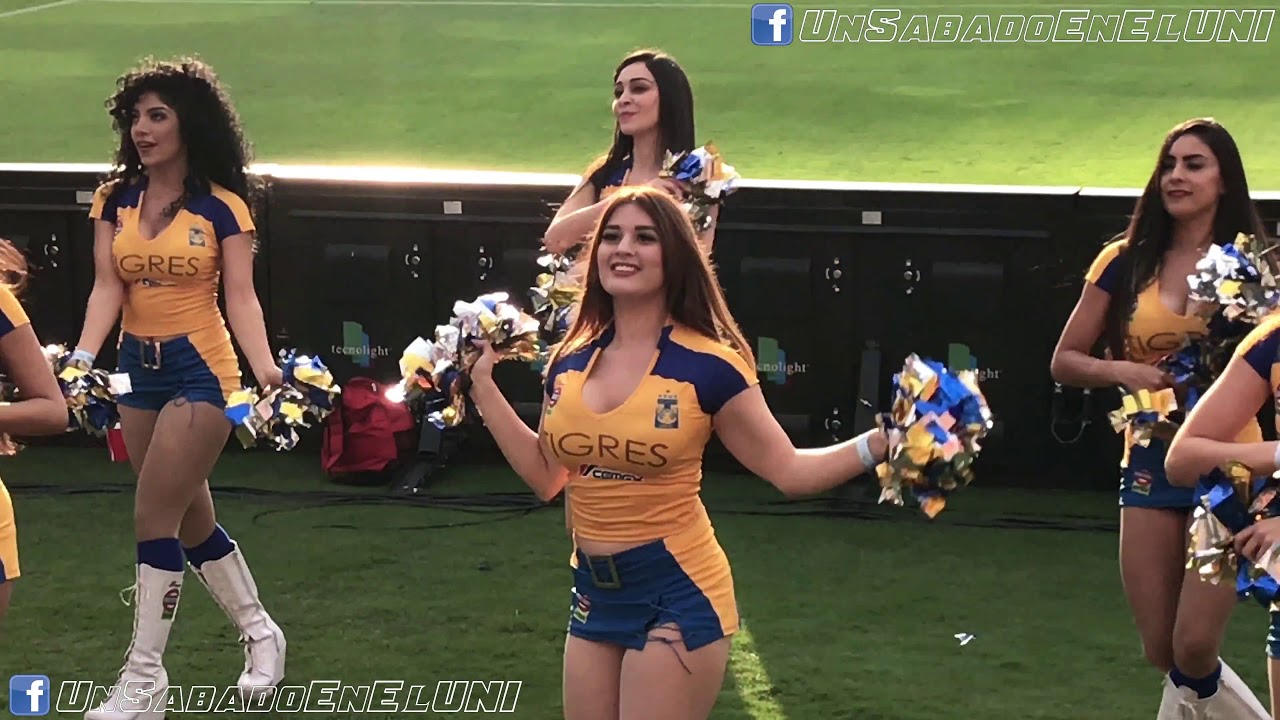 Equipo De Animación Tigres 20170612 Youtube 