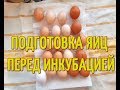 ПОДГОТОВКА ЯИЦ ПЕРЕД ЗАКЛАДКОЙ В ИНКУБАТОР.  ДЕЗИНФЕКЦИЯ ЯИЦ.