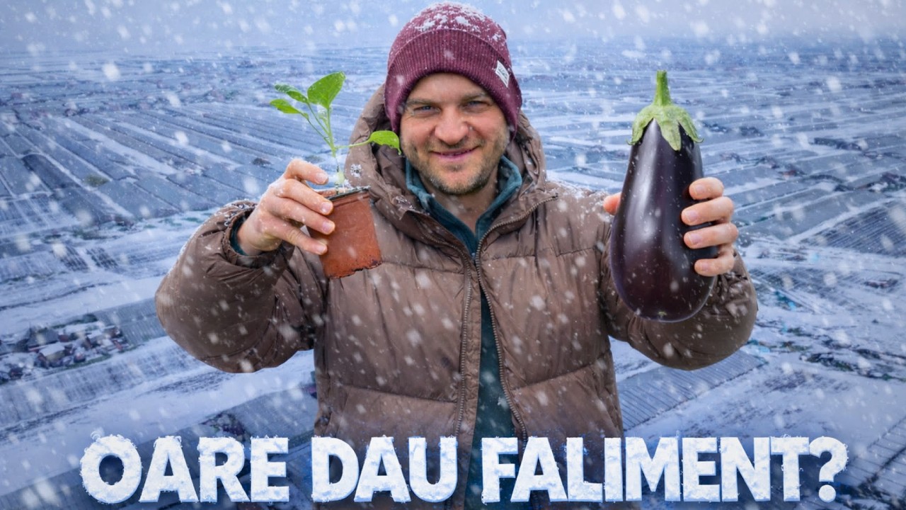 Am dat 15.000 €! Cum arată vânăta ALTOITĂ?