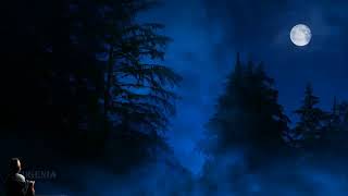 Watch Enigma From East To West video