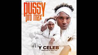 Y Celeb - P*ssy Promax Freestyle