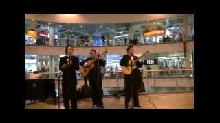 Trio tradicional - Damen tu mujer jose