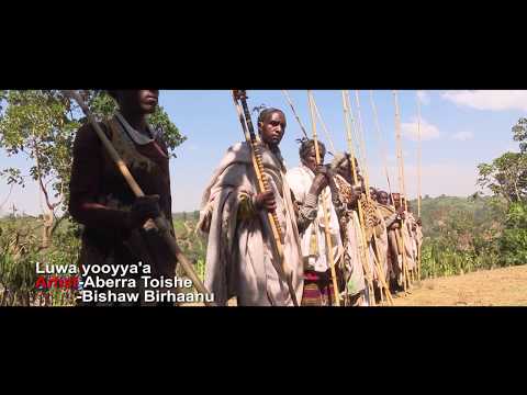 Aberra Toishe Luwa Yooyya A New Ethiopian Music 2017 Official Video