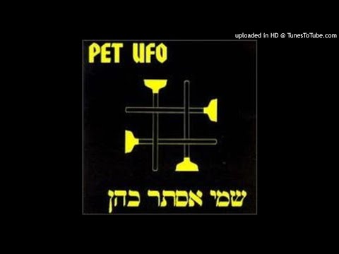 Pet UFO — Pet UFO - Two More Minutes