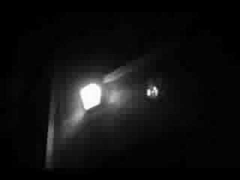 Rumble Fish Trailer