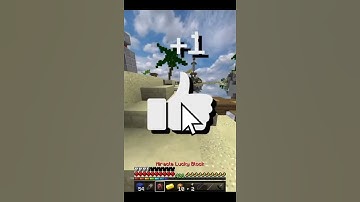 Zyph bedwars moment !!!!