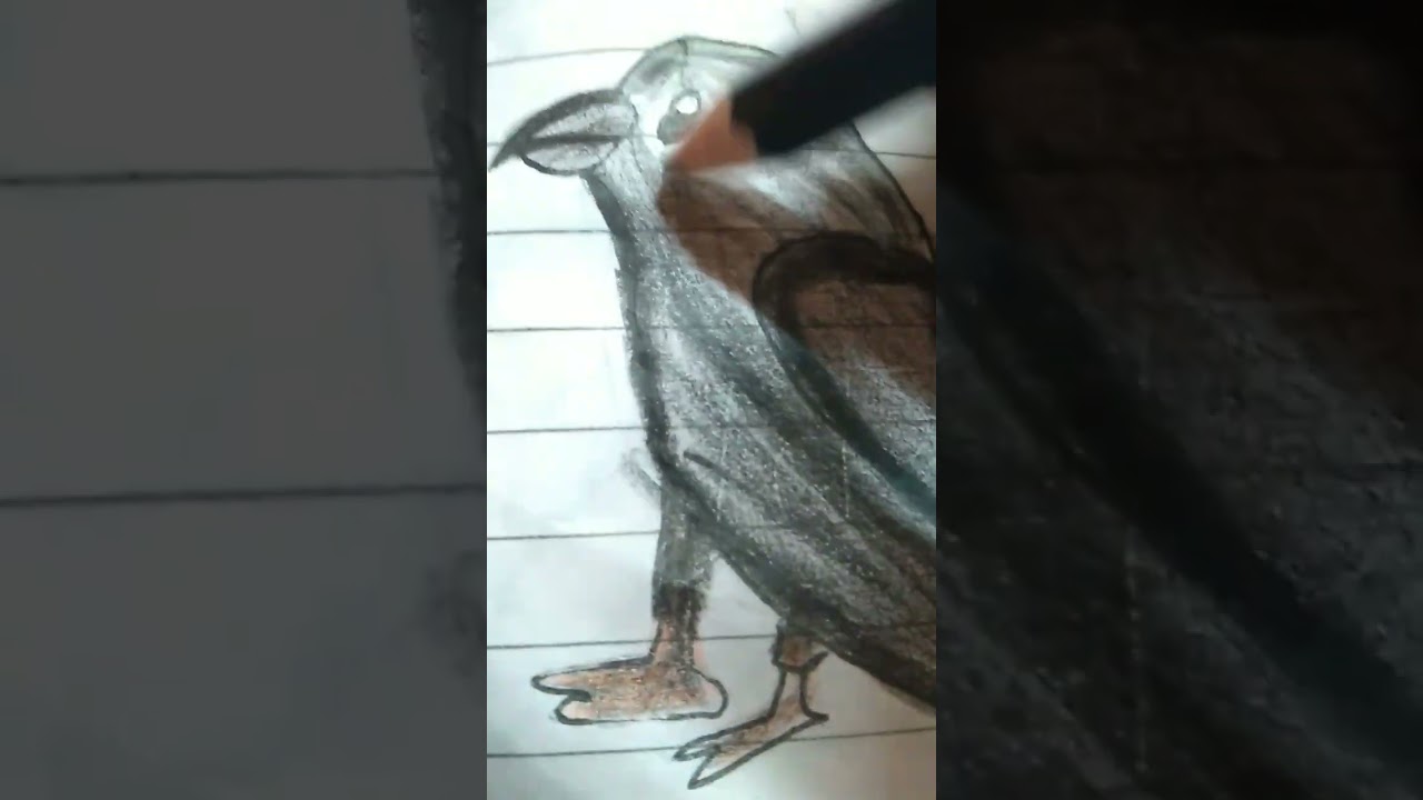 draw crow
