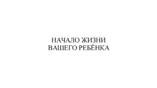 Начало жизни вашего ребёнка