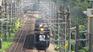 (4K) 6101次  DT668蒸汽火車通過彰化中央陸橋