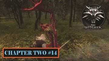 The Witcher 1 Enhanced Edition Walkthrough Gameplay Part14