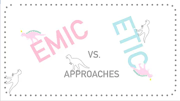 What is an emic perspective?