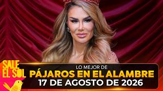 Ninel Conde ROMPE EL SILENCIO en su nuevo DOCUREALITY I Lo Mejor de Pajaros 2026