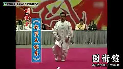 精彩的一趟赵堡太极拳 - 天天要闻