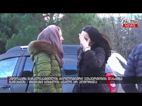 ადვოკატს მაჩალიკაშვილის ბიოლოგიური ექსპერტის დასკვნა გადასცეს